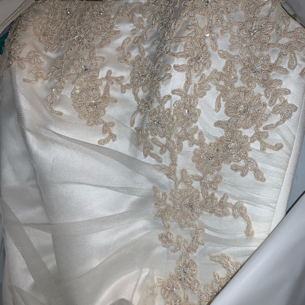 Never Worn Wedding Dress - Picture 4 of 6